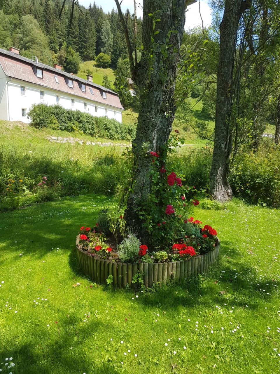 Riverside Ski Apartment Ramingstein 외부 사진