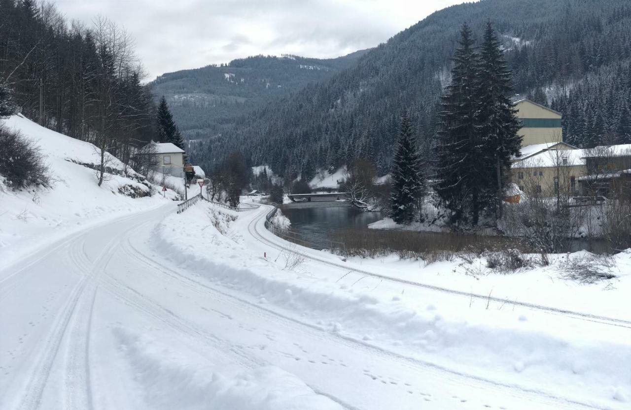 Riverside Ski Apartment Ramingstein 외부 사진